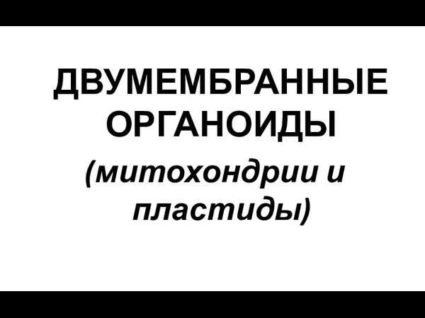 ДВУМЕМБРАННЫЕ ОРГАНОИДЫ (митохондрии и пластиды)