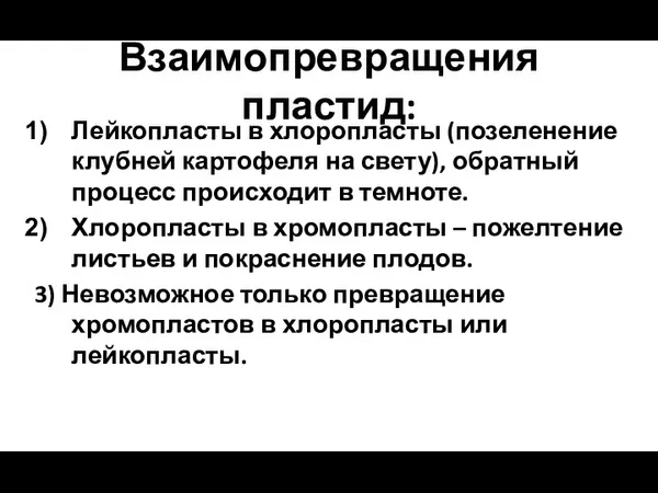 Взаимопревращения пластид: Лейкопласты в хлоропласты (позеленение клубней картофеля на свету),