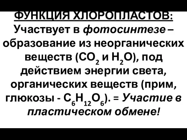 ФУНКЦИЯ ХЛОРОПЛАСТОВ: Участвует в фотосинтезе – образование из неорганических веществ