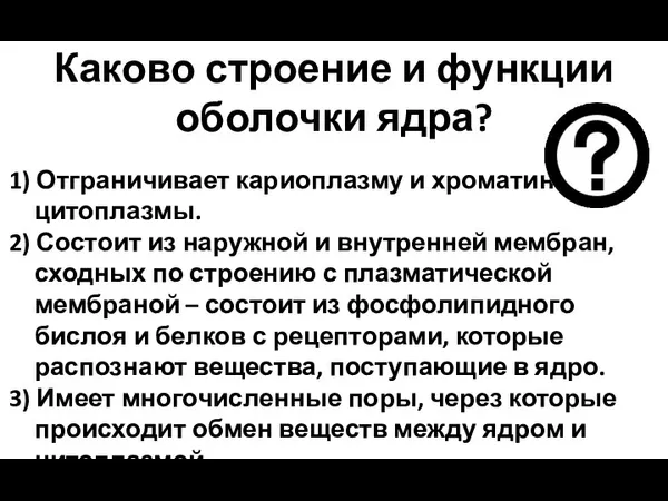 Каково строение и функции оболочки ядра? 1) Отграничивает кариоплазму и