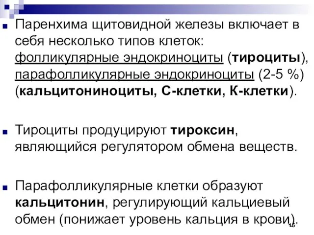 Паренхима щитовидной железы включает в себя несколько типов клеток: фолликулярные