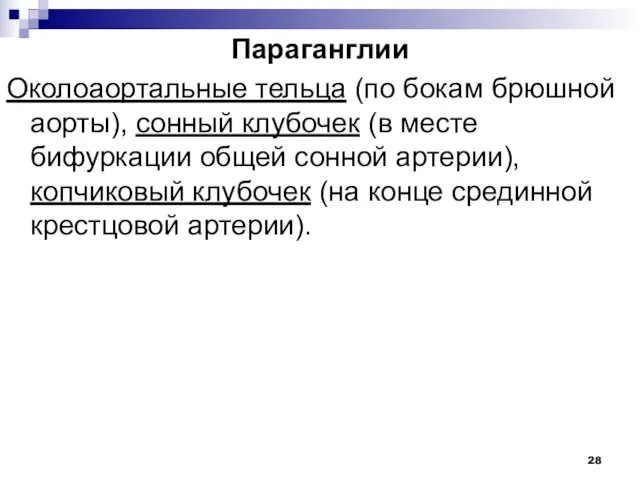 Параганглии Околоаортальные тельца (по бокам брюшной аорты), сонный клубочек (в