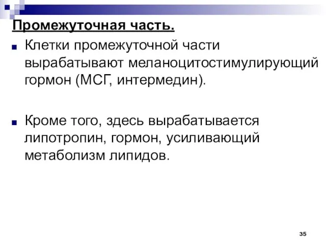 Промежуточная часть. Клетки промежуточной части вырабатывают меланоцитостимулирующий гормон (МСГ, интермедин).