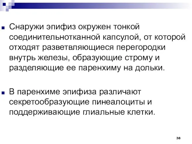 Снаружи эпифиз окружен тонкой соединительнотканной капсулой, от которой отходят разветвляющиеся