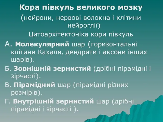 Кора півкуль великого мозку (нейрони, нервові волокна і клітини нейроглії)