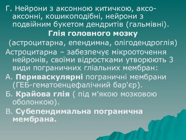 Г. Нейрони з аксонною китичкою, аксо-аксонні, кошикоподібні, нейрони з подвійним