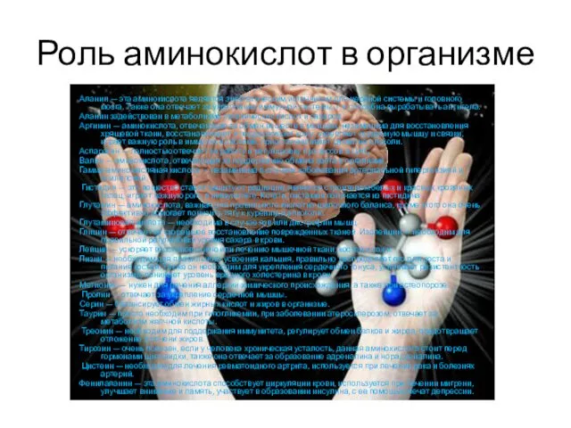 Роль аминокислот в организме Аланин — эта аминокислота является энергетическим