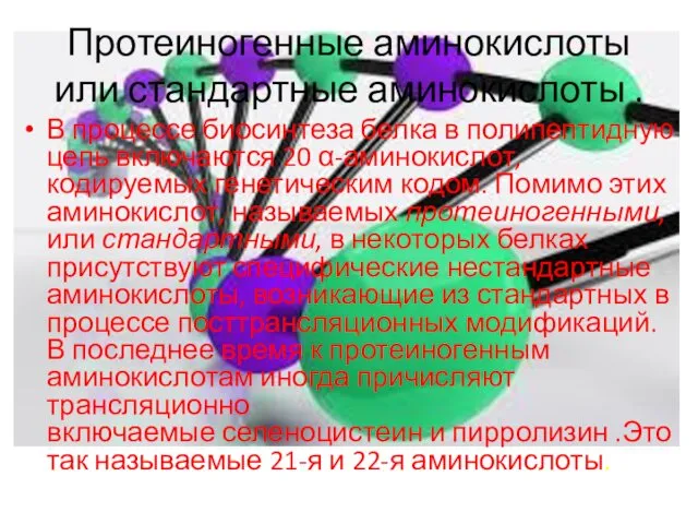 Протеиногенные аминокислоты или стандартные аминокислоты . В процессе биосинтеза белка