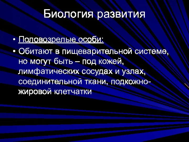 Биология развития Половозрелые особи: Обитают в пищеварительной системе, но могут