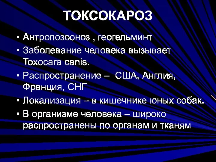 ТОКСОКАРОЗ Антропозооноз , геогельминт Заболевание человека вызывает Toxocara canis. Распространение