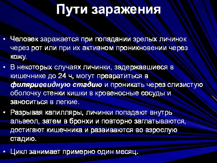 Пути заражения Человек заражается при попадании зрелых личинок через рот