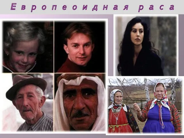 Европеоидная раса