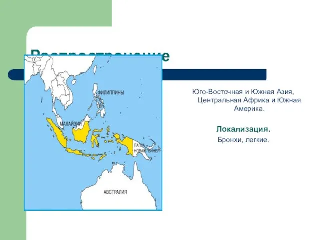 Распростронение Юго-Восточная и Южная Азия, Центральная Африка и Южная Америка. Локализация. Бронхи, легкие.