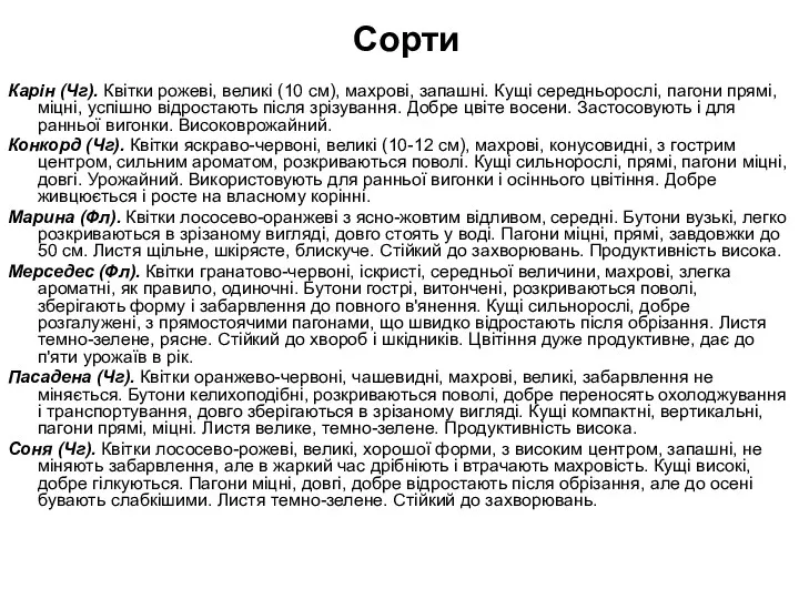 Карін (Чг). Квітки рожеві, великі (10 см), махрові, запашні. Кущі