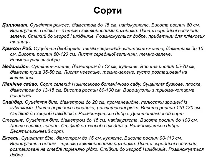 Дипломат. Суцвіття рожеве, діаметром до 15 см, напівкулясте. Висота рослин