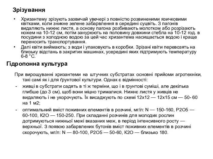 Зрізування Хризантему зрізують зазвичай увечері з повністю розвиненими язичковими квітками,