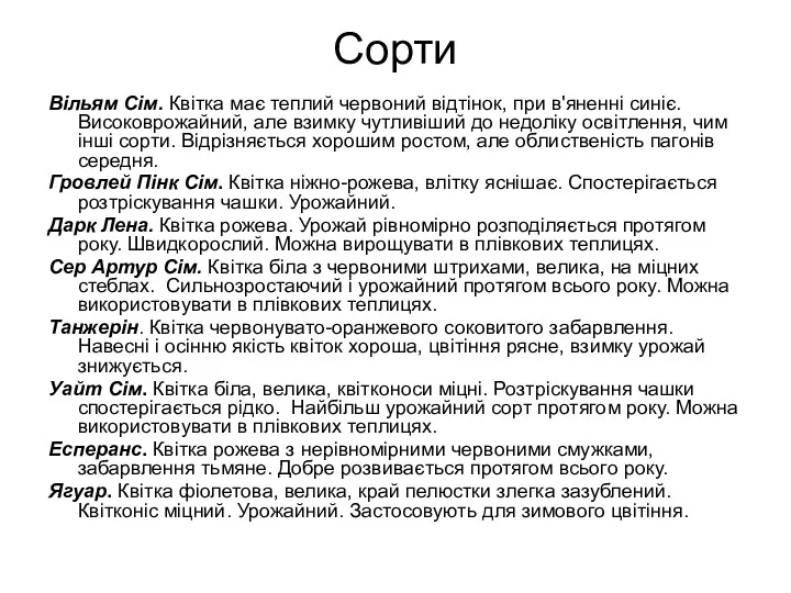 Сорти Вільям Сім. Квітка має теплий червоний відтінок, при в'яненні