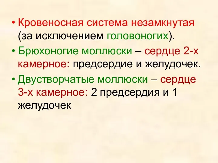 Кровеносная система незамкнутая (за исключением головоногих). Брюхоногие моллюски – сердце