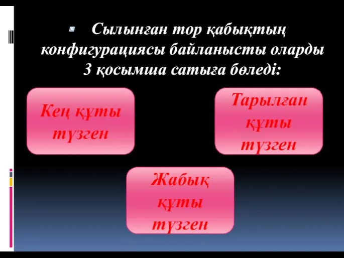 Сылынған тор қабықтың конфигурациясы байланысты оларды 3 қосымша сатыға бөледі: Кең құты түзген