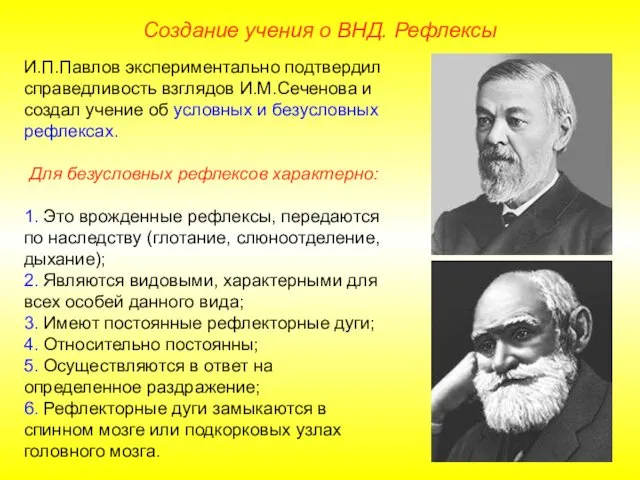 Создание учения о ВНД. Рефлексы И.П.Павлов экспериментально подтвердил справедливость взглядов