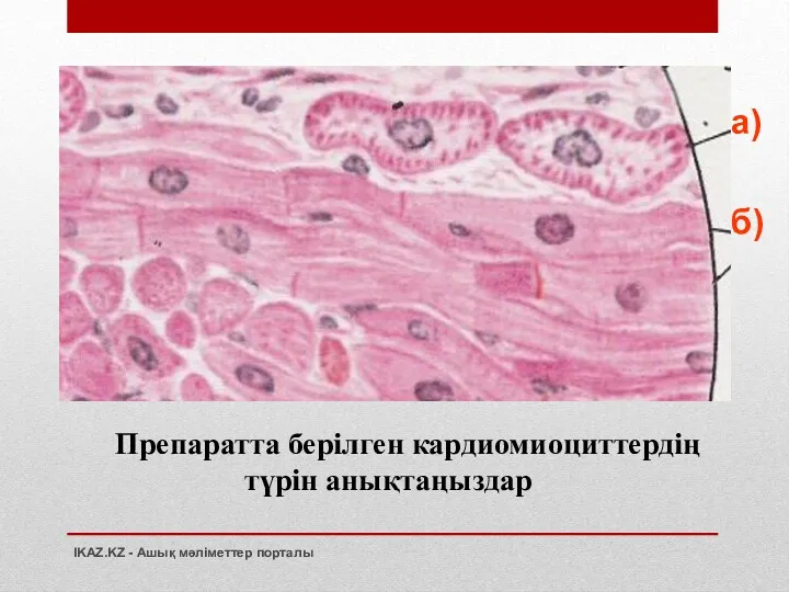 Препаратта берілген кардиомиоциттердің түрін анықтаңыздар а) б) IKAZ.KZ - Ашық мәліметтер порталы