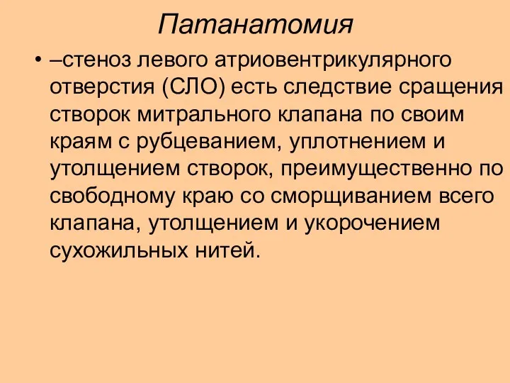 Патанатомия –стеноз левого атриовентрикулярного отверстия (СЛО) есть следствие сращения створок