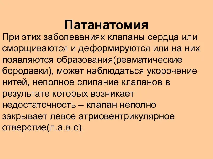 Патанатомия При этих заболеваниях клапаны сердца или сморщиваются и деформируются