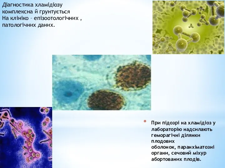Діагностика хламідіозу комплексна й грунтується На клініко – епізоотологічних , патологічних даних. При