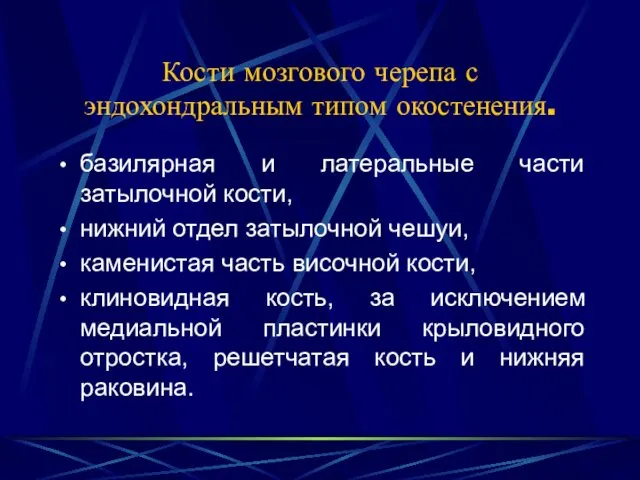 Кости мозгового черепа с эндохондральным типом окостенения. базилярная и латеральные