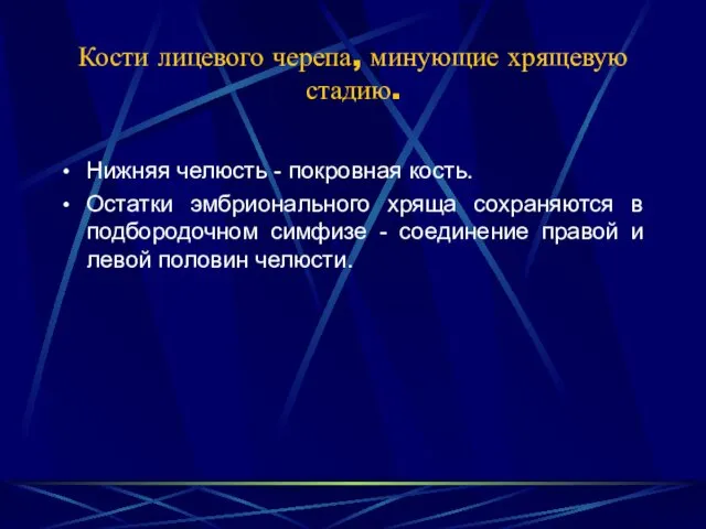 Кости лицевого черепа, минующие хрящевую стадию. Нижняя челюсть - покровная