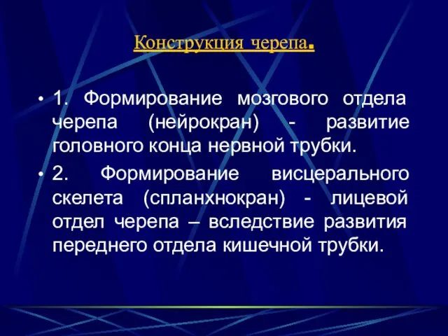 Конструкция черепа. 1. Формирование мозгового отдела черепа (нейрокран) - развитие