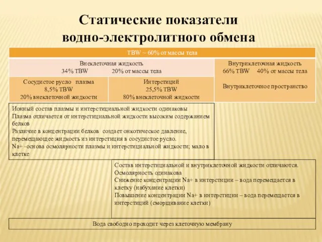 Статические показатели водно-электролитного обмена Ионный состав плазмы и интерстициальной жидкости