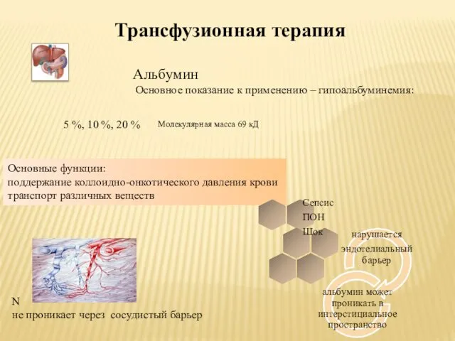 Альбумин Основное показание к применению – гипоальбуминемия: 5 %, 10