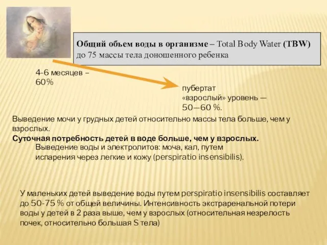 Общий объем воды в организме – Total Body Water (TBW)