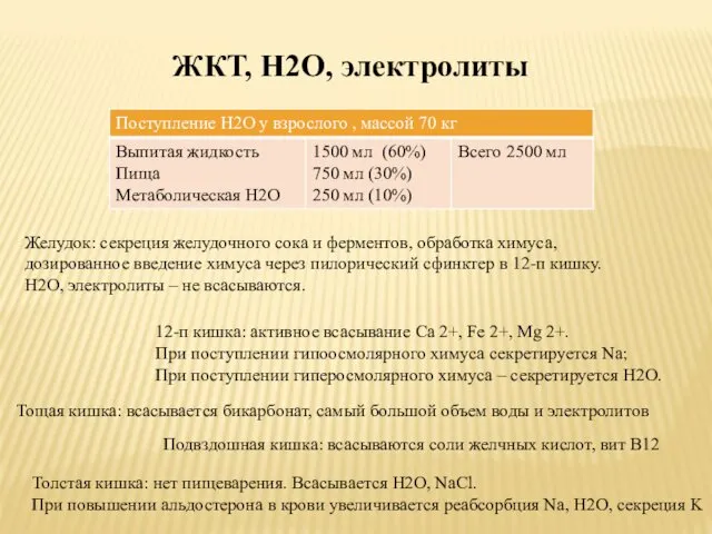 ЖКТ, H2O, электролиты Желудок: секреция желудочного сока и ферментов, обработка