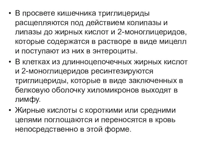 В просвете кишечника триглицериды расщепляются под действием колипазы и липазы до жирных кислот