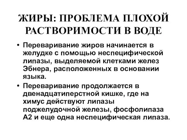 ЖИРЫ: ПРОБЛЕМА ПЛОХОЙ РАСТВОРИМОСТИ В ВОДЕ Переваривание жиров начинается в