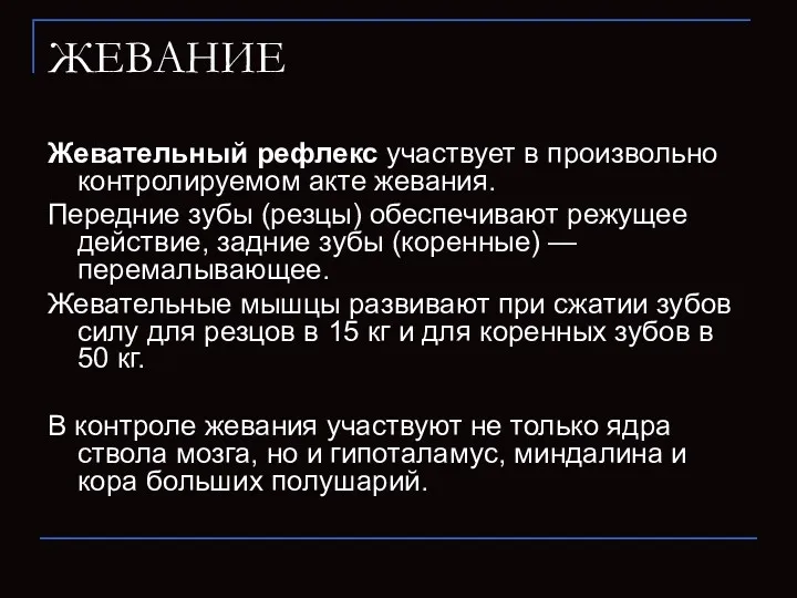 ЖЕВАНИЕ Жевательный рефлекс участвует в произвольно контролируемом акте жевания. Передние