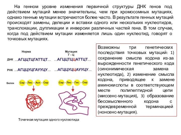 На генном уровне изменения первичной структуры ДНК генов под действием мутаций менее значительны,