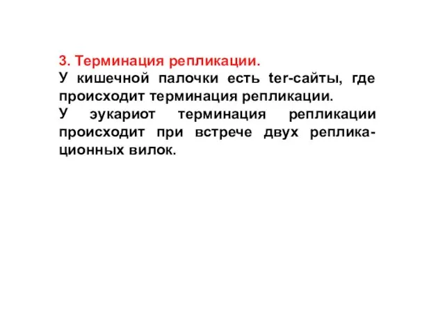 3. Терминация репликации. У кишечной палочки есть ter-сайты, где происходит