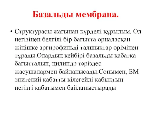 Базальды мембрана. Структурасы жағынан күрделі құрылым. Ол негізінен белгілі бір