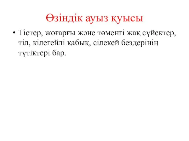 Өзіндік ауыз қуысы Тістер, жоғарғы және төменгі жақ сүйектер, тіл, кілегейлі қабық, сілекей бездерінің түтіктері бар.