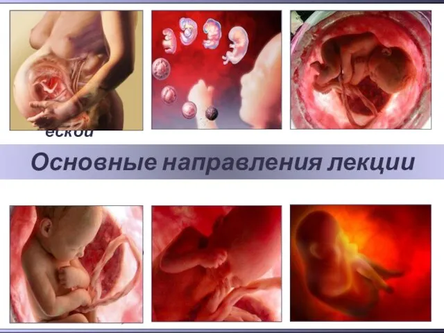 Эмбриогенез Плацентация Организация амбулаторной акушерско-гинекологической помощи Плацентарная недостаточность (дисфункция плаценты ) Задержка роста