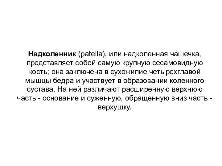 Надколенник (patella), или надколенная чашечка, представляет собой самую крупную сесамовидную