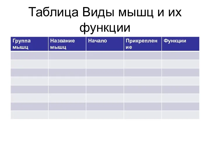 Таблица Виды мышц и их функции