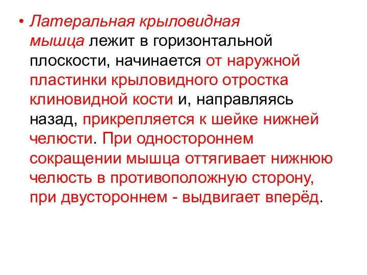 Латеральная крыловидная мышца лежит в горизонтальной плоскости, начинается от наружной