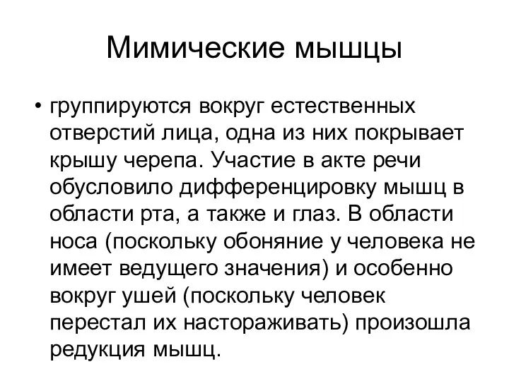 Мимические мышцы группируются вокруг естественных отверстий лица, одна из них