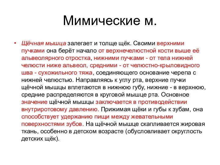 Мимические м. Щёчная мышца залегает и толще щёк. Своими верхними