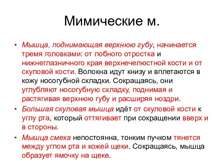 Мимические м. Мышца, поднимающая верхнюю губу, начинается тремя головками: от