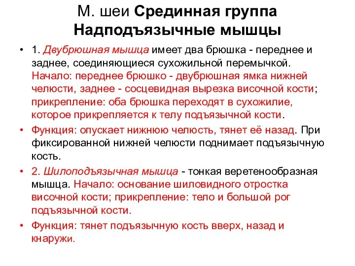 М. шеи Срединная группа Надподъязычные мышцы 1. Двубрюшная мышца имеет